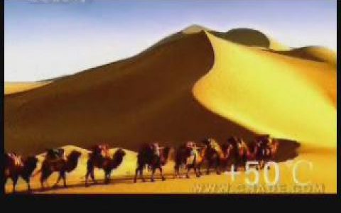 075昆仑润滑油-沙漠骆驼篇15秒
