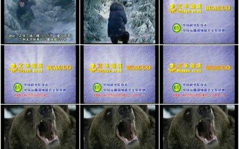279文华抗菌羽绒服之雪地松林遇上熊篇15秒
